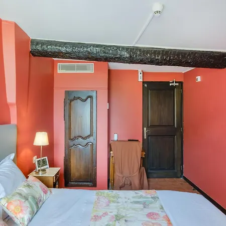 Grimaldi 3* كانيو سور مير